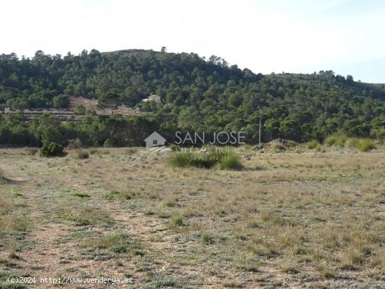 SE VENDE TERRENO RUSTICO EN HONDÓN DE LAS NIEVES ZONA CANALOSA - ALICANTE