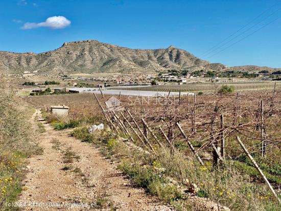 VENTA DE PARCELA DE 11040 M2 EN ASPE EN BUENA ZONA PARA CONSTRUIR TU VIVIENDA SOÑADA - ALICANTE