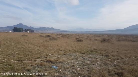 SE VENDE CUATRO PARCELAS EN SALINAS, DOS DE 50.000m Y DOS DE 20.000m, POR SEPARADO o EN CONJUNTO - A