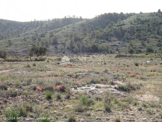 SE VENDE PARCELA RURAL EN LA CANALOSA PARA CONSTRUIR - ALICANTE