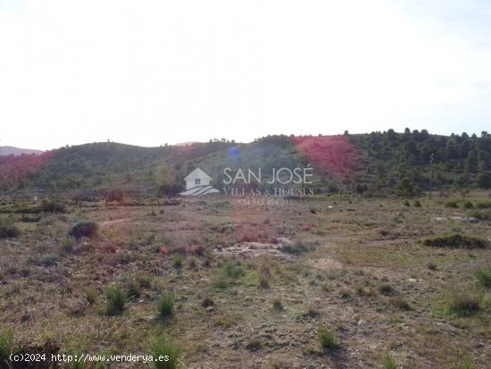 SE VENDE PARCELA RURAL EN LA CANALOSA PARA CONSTRUIR - ALICANTE