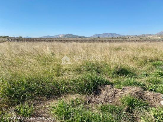 VENTA DE PARCELA RUSTICA EN HONDÓN DE LAS NIEVES-ALICANTE, MUY CERCA DE LA CIUDAD - ALICANTE