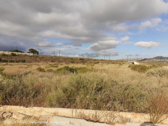 TERRENO RUSTICO URBANIZABLE EN MONFORTE DEL CID, ALICANTE - ALICANTE