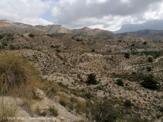 ESPECTACULAR FINCA EN JIJONA - ALICANTE