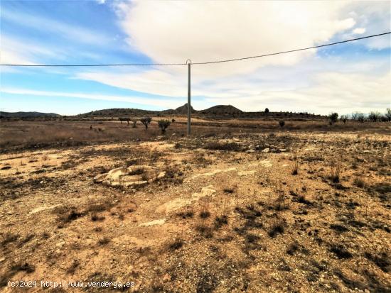 TERRENO URBANIZABLE EN SALINAS ZONA CAMARA BAJA - ALICANTE