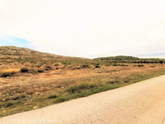 TERRENO EN CAÑADA ZONA CTRA.- CAÑADA BIAR CON CANTERA - ALICANTE