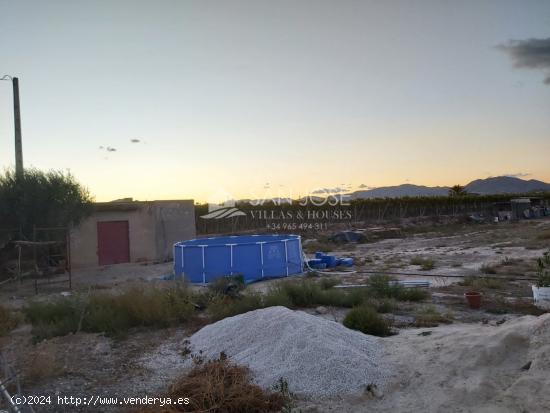 SE VENDE PARCELA CON ALBERGUE EN ZONA HUERTA MAYOR EN ASPE - ALICANTE