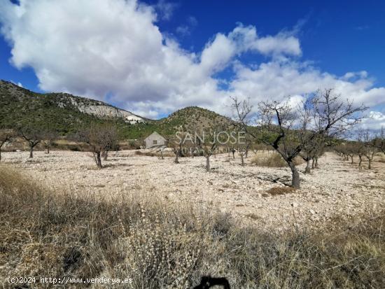 TERRENOS EN MONOVAR ZONA CAVA FRIA CERCA DE ROMANETA - ALICANTE