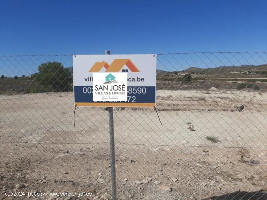 SE VENDE TERRENO RUSTICO EN PINOSO (ALICANTE) SPAIN - ALICANTE