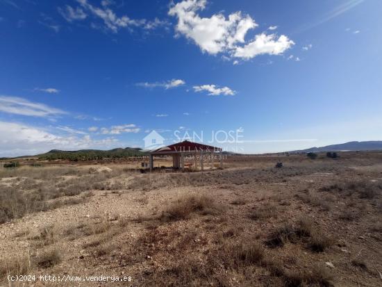 VENTA DE  PARCELA EN MONOVAR - ALICANTE