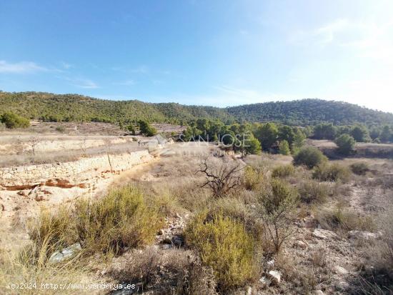 INMOBILIARIA SAN JOSE VENDE TERRENO RURAL EN MONOVAR ZONA LA ROMANETA - ALICANTE