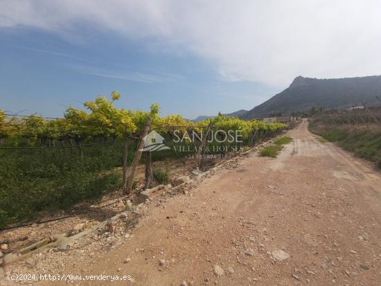 SE VENDE FINCA RUSTICA EN ASPE ZONA ALCANA CERCA DEL PEÑON - ALICANTE