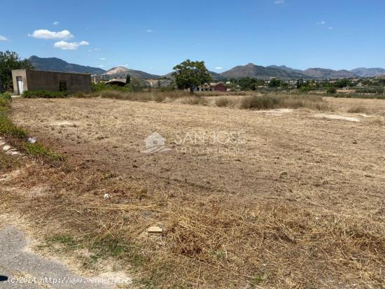 SE VENDE PARCELA RUSTICA EN 2 ESCRITURAS CON ALMACEN AGRICOLA EN ASPE - ALICANTE