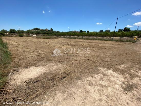 SE VENDE PARCELA RUSTICA EN 2 ESCRITURAS CON ALMACEN AGRICOLA EN ASPE - ALICANTE