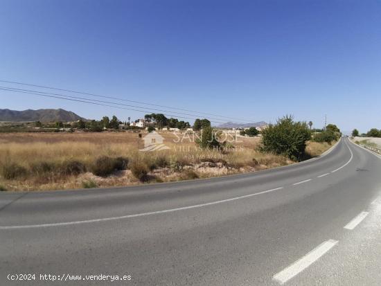 TERRENO RUSTICO EN HORNA ALTA CON PUNTO DE LUZ CERCA NOVELDA - ALICANTE