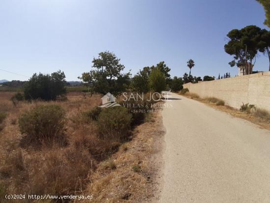 TERRENO RUSTICO EN HORNA ALTA CON PUNTO DE LUZ CERCA NOVELDA - ALICANTE