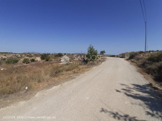 SE VENDE PARCELA RÚSTICA EN NOVELDA EN ZONA HORNA ALTA. - ALICANTE