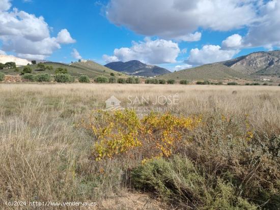 SE VENDE PARCELA EN CAÑADA DE LA LEÑA (ABANILLA) SPAIN - MURCIA