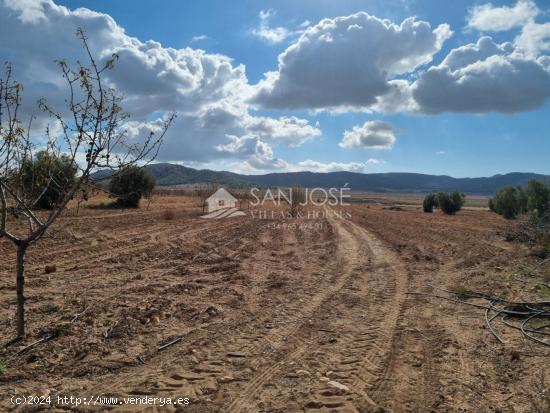 SE VENDE PARCELA EN CAÑADA DE LA LEÑA (ABANILLA) MURCIA - MURCIA