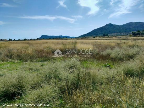 SE VENDE TERRENO RURAL CON POSIBILIDAD DE ALBERGUE EN LA ROMANA - ALICANTE