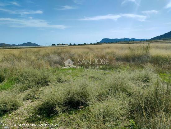 SE VENDE TERRENO RURAL CON POSIBILIDAD DE ALBERGUE EN LA ROMANA - ALICANTE