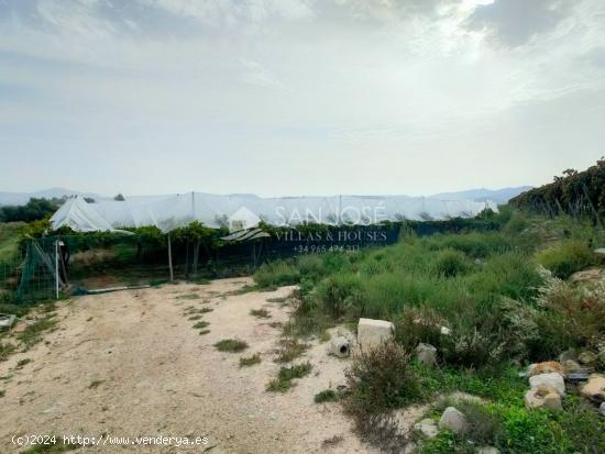 SE VENDE TERRENO CON CASA DE APEROS EN ASPE ZONA HUERTA MAYOR - ALICANTE