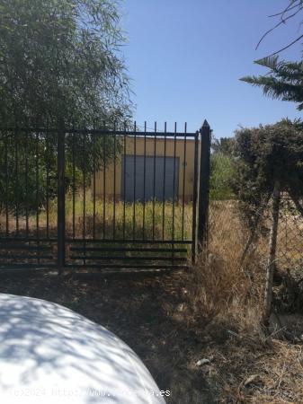 SE VENDE TERRENO EN ELCHE (PARTIDA LAS BAYAS) , 4.000 mts , VALLADO , CON CASETA APEROS - ALICANTE