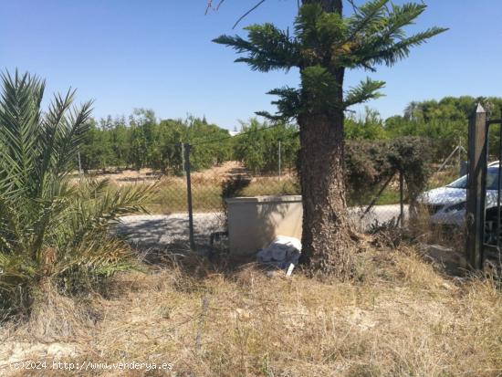 SE VENDE TERRENO EN ELCHE (PARTIDA LAS BAYAS) , 4.000 mts , VALLADO , CON CASETA APEROS - ALICANTE