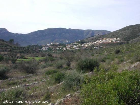  Amplia parcela en Alcalali - ALICANTE 