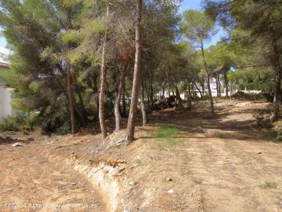 Parcelas a menos de 2 km del pueblo y playa en Moraira - Zona: El bosque - ALICANTE