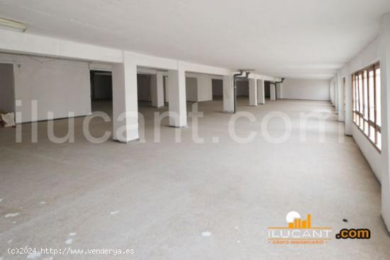 LOCAL DE 1000 m2 - ALICANTE