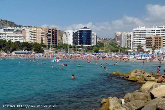 Se alquila piso de 3 dormitorios en 1 linea de la playa - ALICANTE