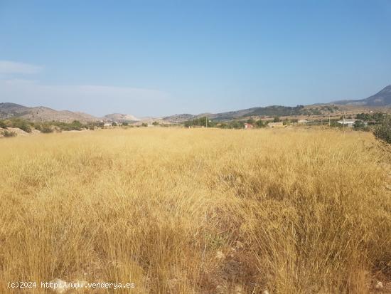 Terreno para construir Chalet muy cerca de Hondon de las Nieves (Alicante) España - ALICANTE