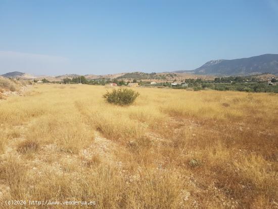 Terreno para construir Chalet muy cerca de Hondon de las Nieves (Alicante) España - ALICANTE