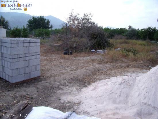 TIERRA DE HUERTA EN TORREAGUERA - MURCIA