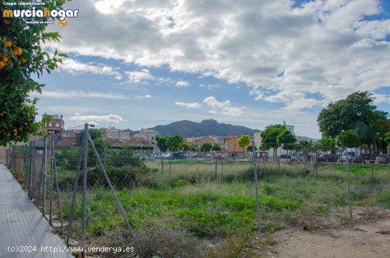 SOLAR URBANO EN LA URB. LOS NARANJOS (BENIAJÁN). - MURCIA