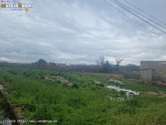  TERRENO EN LA HUERTA DE TORREAGUERA, MURCIA. - MURCIA 