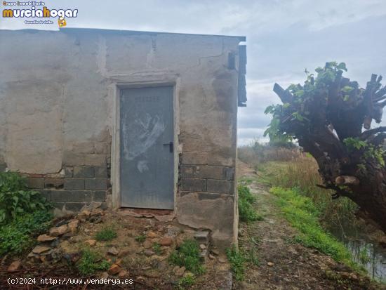 TERRENO EN LA HUERTA DE TORREAGUERA, MURCIA. - MURCIA