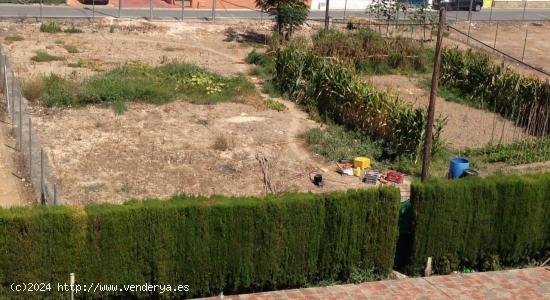 VENTA DE PARCELA EDFICABLE EN LA ARBOLEJA 1118M2 - MURCIA