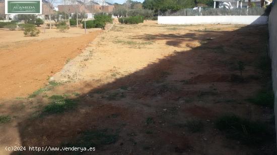 PARCELA EN TORRE EN CONILL - VALENCIA