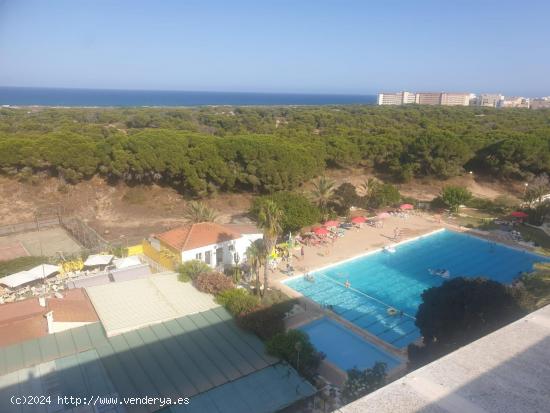 ESPECTACULAR APARTAMENTO 2 HABS PISCINA COMUNITARIA, VISTAS AL MAR PINOMAR 125.900€ - ALICANTE