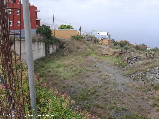 SOLAR URBANO EN LA MATANZA DE ACENTEJO - SANTA CRUZ DE TENERIFE