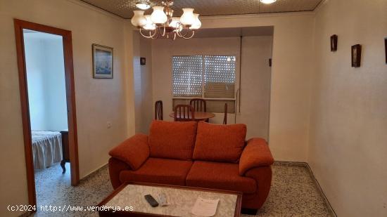 VIVIENDA EN ZONA CENTRO - ALBACETE