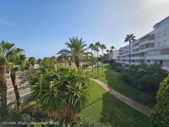  PISO ALQUILER POR TEMPORADA EN PLAYAMAR-TORREMOLINOS - MALAGA 