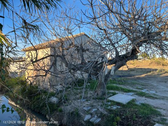 Casita agricola entre Piles y Miramar de 26 metros con 3693 de parcela agrícola - VALENCIA