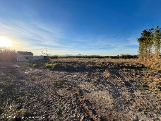 Casita agricola entre Piles y Miramar de 26 metros con 3693 de parcela agrícola - VALENCIA