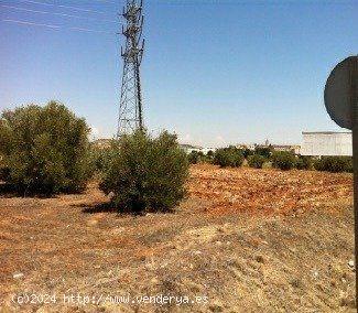 SUELO URBANIZABLE INDUSTRIAL EN CABANILLAS DEL CAMPO, GUADALAJARA - GUADALAJARA