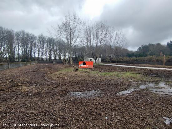 SE VENDE CASA CON FINCA CERRADA EN O CORGO - LUGO