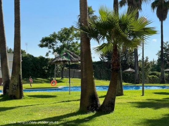  PISO CON AMPLIAS TERRAZAS Y CON PISCINA EN LAS VAGUADAS - BADAJOZ 