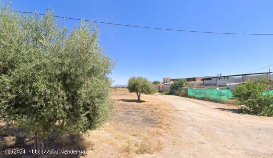 SUELO URBANIZABLE EN SANGONERA LA VERDE - MURCIA